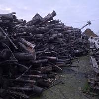 Legna in stanga o da ardere