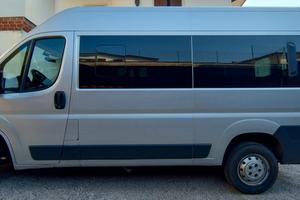 Ducato 9 posti 