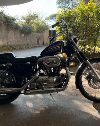 Harley Davidson sportster 1200c custom