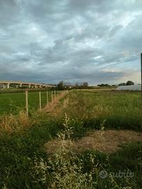 Terreno agricolo