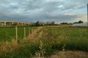 Terreno agricolo