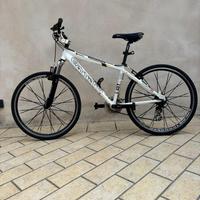 Touring bike carraro