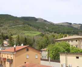 Carpegna appartamento vista monte