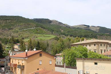 Carpegna appartamento vista monte