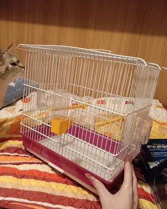 Gabbietta per uccelli mai usata