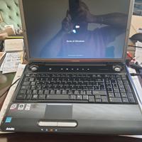 Notebook Toshiba Modello: Satellite P300-15Z