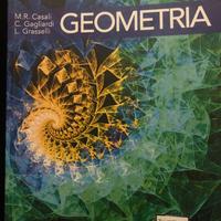 Geometria isbn 9788874889761