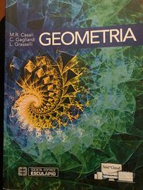 Geometria isbn 9788874889761