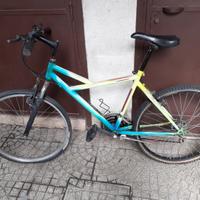 Mtb "viscardi" 26 multicolour