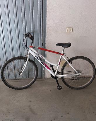 biciclette uomo donna