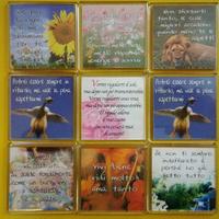 Calamite magnetiche x Frigo: Frasi Memorabili