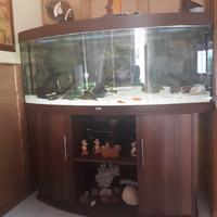 Acquario Juwel Vision 450 LT