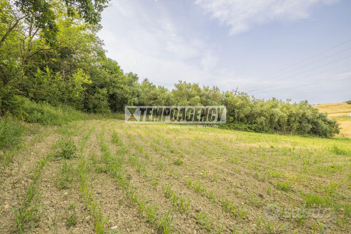 Terreno agricolo di 36.600 mq a Morrovalle! - Vista 3