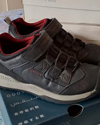 Scarpe Geox Amphibiox bambino n.36