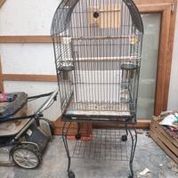 gabbia per pappagallo, e uccelli misti