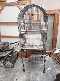 gabbia per pappagallo, e uccelli misti