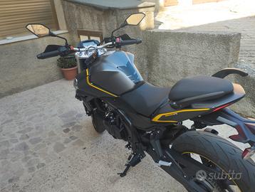 Voge Brivido 500 - 2023