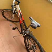 Bicicletta torpado