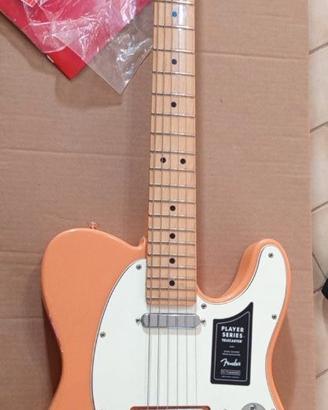Fender Mexico telecaster