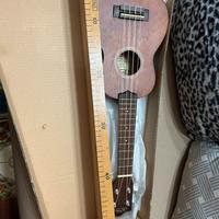 L'ukulele chitarra piccola