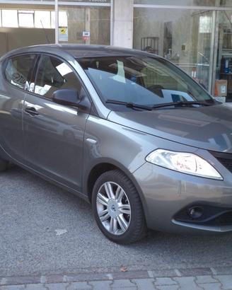 Lancia Ypsilon 1.2 69 CV 5 porte Elefantino Blu OK