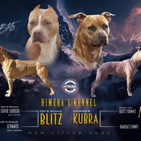 Pitbull