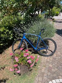 Trek Domane