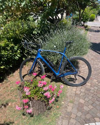 Trek Domane