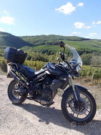 Moto Triumph Tiger 800