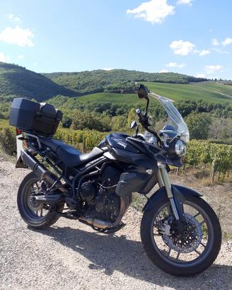 Moto Triumph Tiger 800