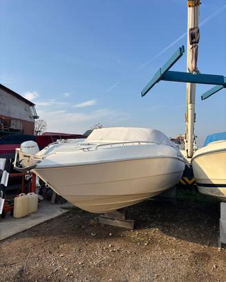 Fiart 23 anno 2004 - 500 ore