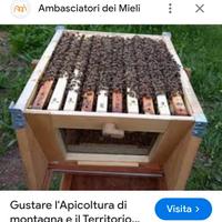 attrezzatura apistica 