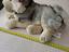 Immagine 4