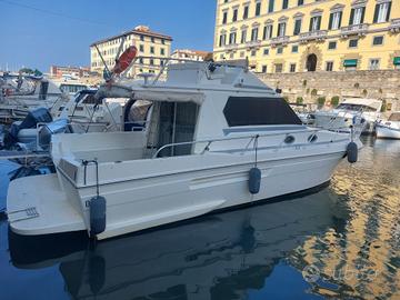 Dellapasqua Dc 9 (1992)