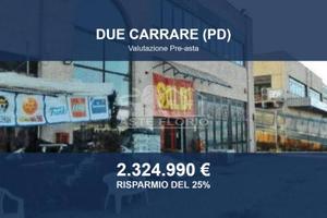 Immobile in asta di 6003 m² a Due Carrare