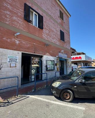 NEGOZIO A ALBANO LAZIALE