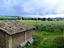 Immagine 14