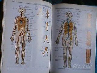 GUIDA SANITARIA ILLUSTRATA investire sul futuro