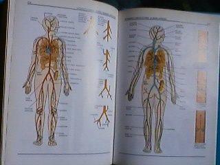GUIDA SANITARIA ILLUSTRATA investire sul futuro