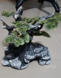 Arredo acquario bonsai