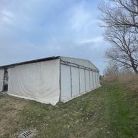 Tendone (tendostruttura)