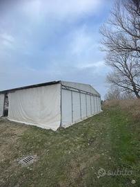 Tendone (tendostruttura)