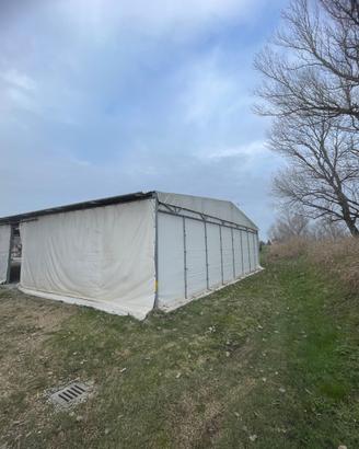 Tendone (tendostruttura)