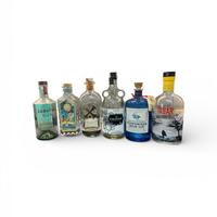 1 lotto bottiglie vuote gin