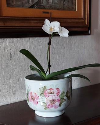 Cachepot porcellana dipinto a mano A.Lovera 23 cm