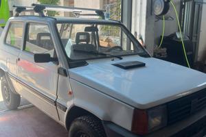 Fiat Panda young