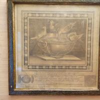 Stampa antica -Giuseppe Alessandro Furietti (1684)