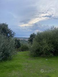 Terreno Agricolo con Uliveto e Vista Panoramica Gr