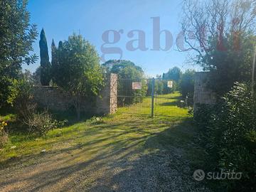 Terreno Agricolo Copertino [CO 351VCG]