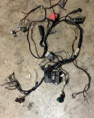 Impianto elettrico  gilera runner 180
